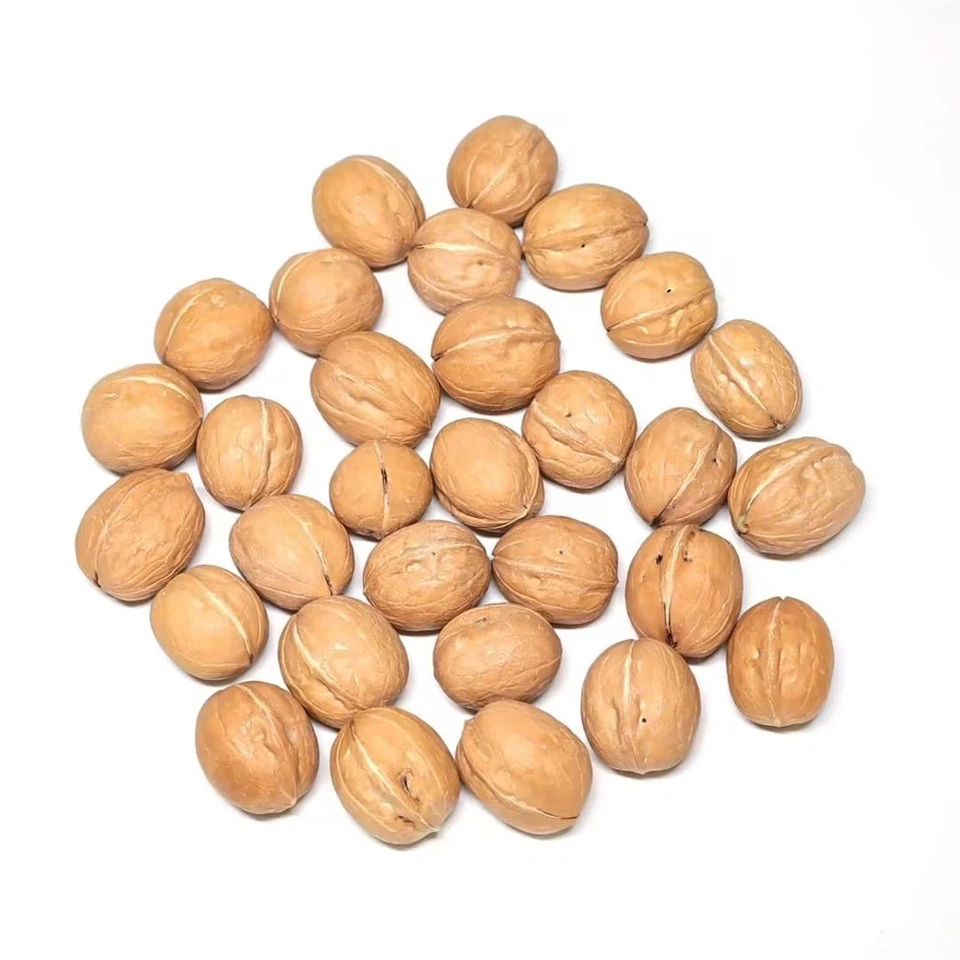 Cracked Walnut Shells