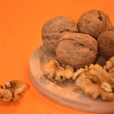 Fresh Walnuts in Shell