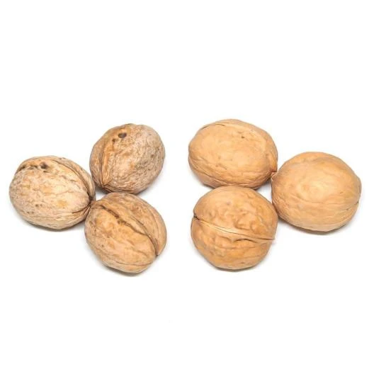 product-528-528